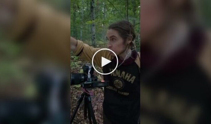 Researchers have found insects that dance at the sight of people