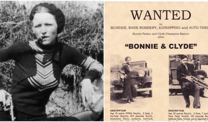 Bonnie and Clyde: the lie that everyone believed (7 photos)