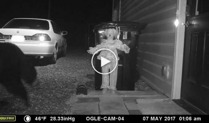 Man chases bear away from his dumpster with creepy clown doll