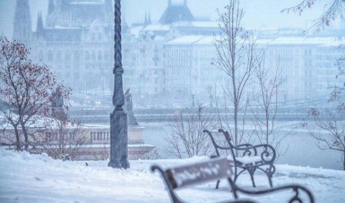 Как красив Будапешт зимой (8 фото)