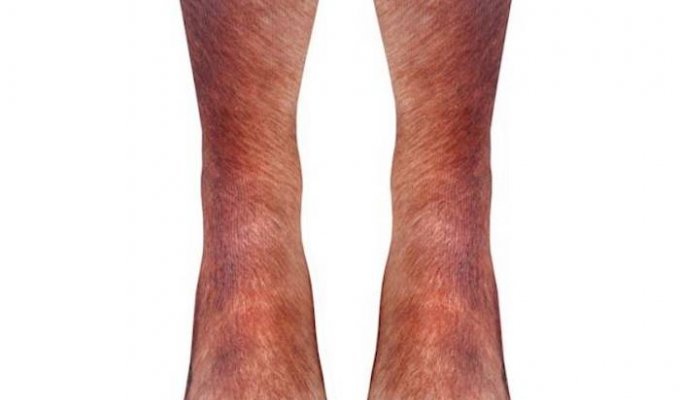 Эти реалистичные носки превратят ваши ноги в лапы животных (5 фото)