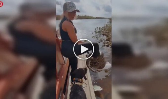 Девушка носит на ноге питона как браслет