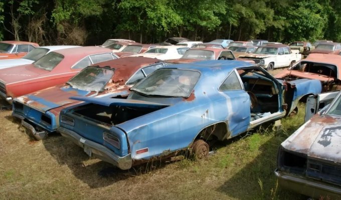Junkyard with hundreds of muscle cars found in the USA (2 photos + 1 video)