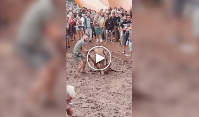 Mud and rain did not spoil the fun At the festival