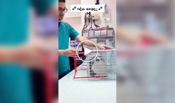 A special cage for angry and nervous cats