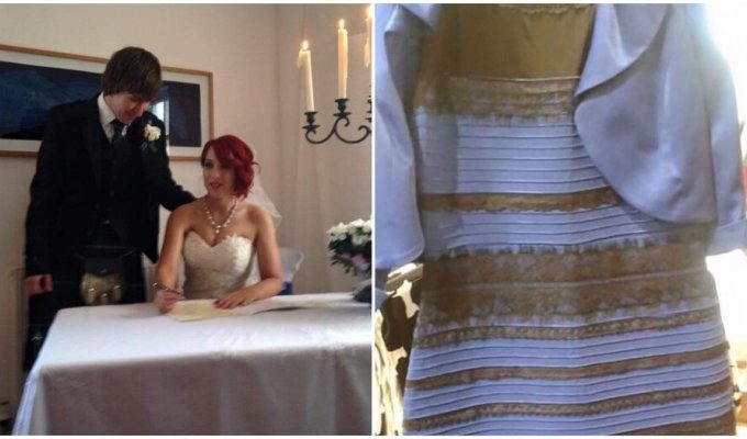 The author of the meme “What color is the dress?” went to jail for domestic violence (4 photos)