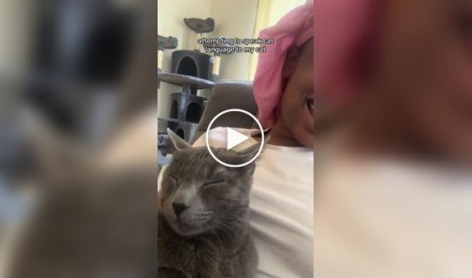 Девушка попыталась поговорить с котом на его языке