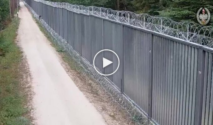 Polish border guards