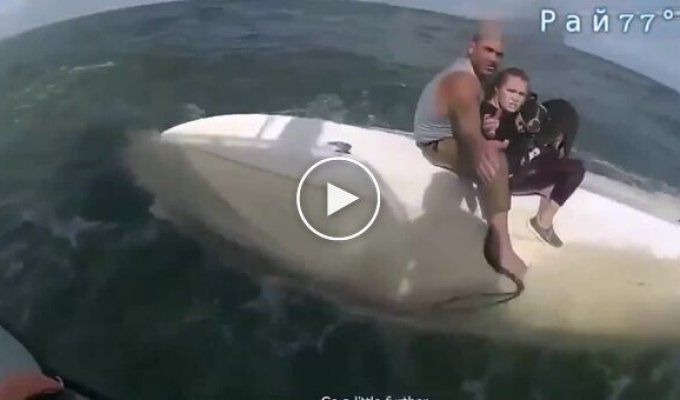 Two people and a dog were shipwrecked off the coast of Florida