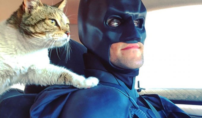"Этому городу нужен герой": Бэтмен теперь спасает не людей, а животных (10 фото)