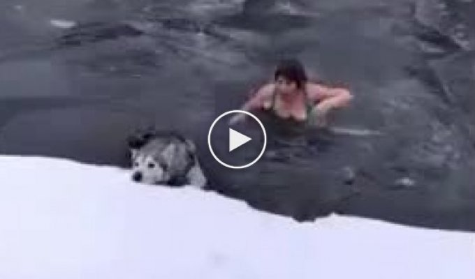 Женщина спасла собаку из ледяной воды в Воронежской области