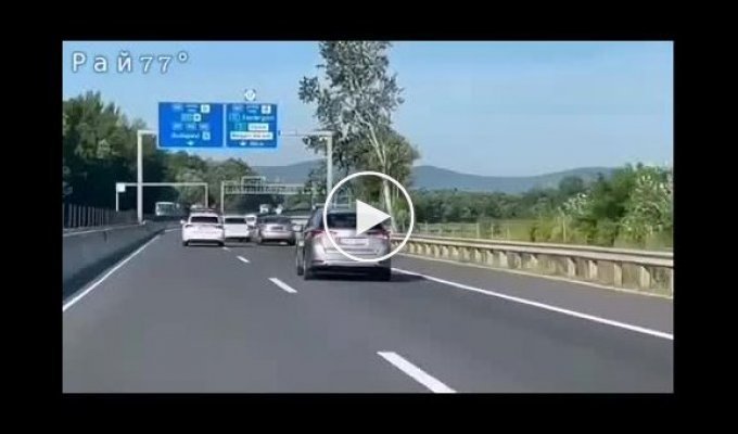 Драматичная погоня полицейских за автомобилем в Венгрии