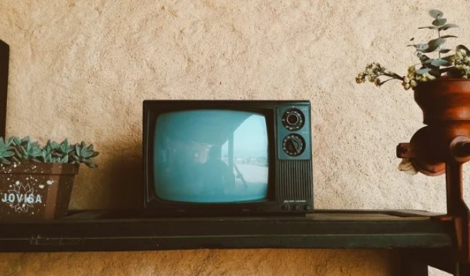 TV drains your brain: scientists have proven that couch marathons are more dangerous than sedentary work (photo)