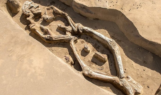В России нашли 1300-летний «танцующий скелет» и его могила уникальна (9 фото)