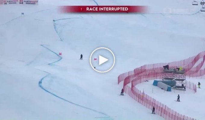 Озорной пес выбежал на трассу для горнолыжников во время соревнований