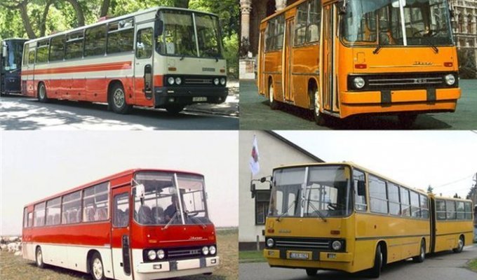 Автобусы IKARUS - экскурсия в прошлое (53 фото)