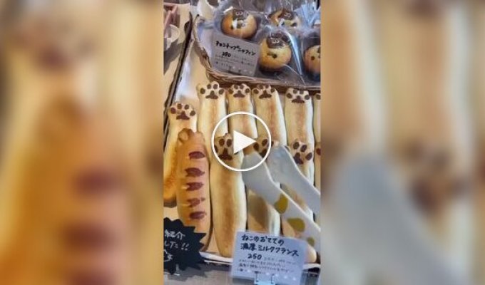 A Japanese bakery where all the baked goods are dedicated to cats