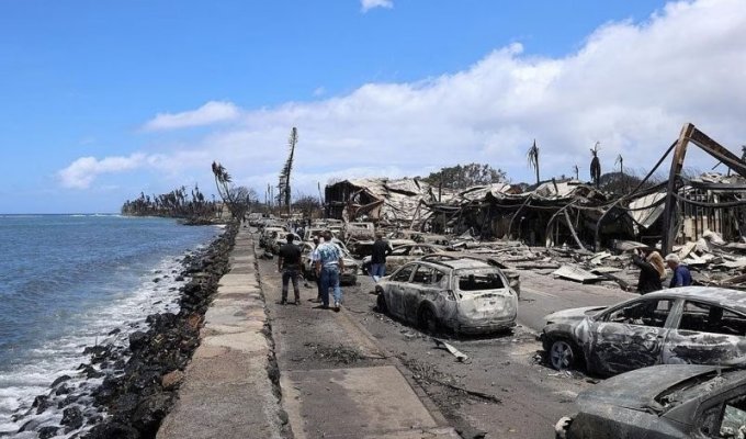 Пожары на Гавайях: число погибших на Мауи продолжает расти, жители ругают власти за бездействие (5 фото)
