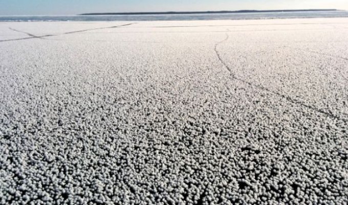 Дивне природне явище на Ладозькому озері (3 фото)