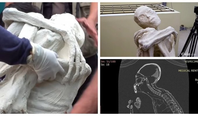 Three-fingered “alien mummies” from Peru again puzzled scientists (8 photos + 1 video)
