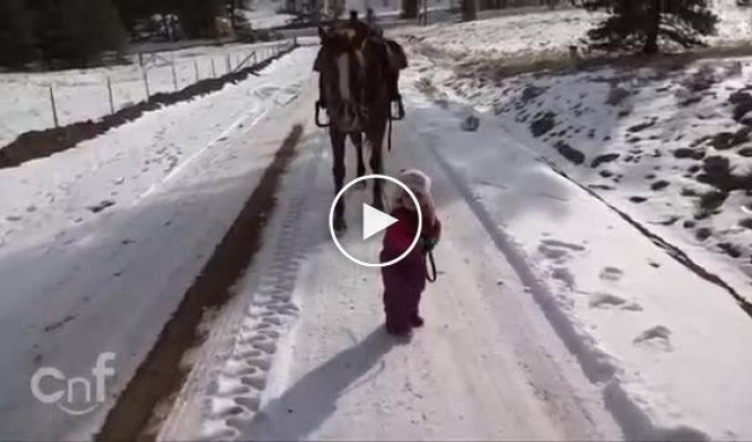 Маленькая девочка Эмма выгуливает лошадь