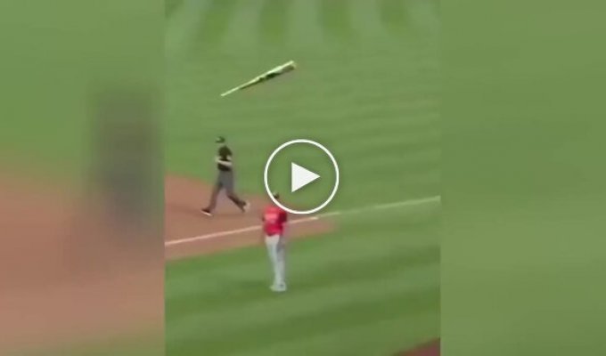 Father saves son from a flying bat