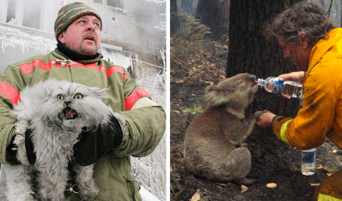 20 фотографий смелых пожарных, спасающих животных из огня (21 фото)