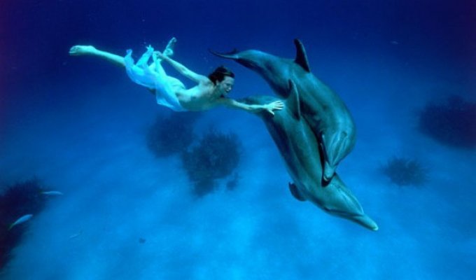 Очень красивые подводные фото от Todd Essickа (18+) (11 фото)