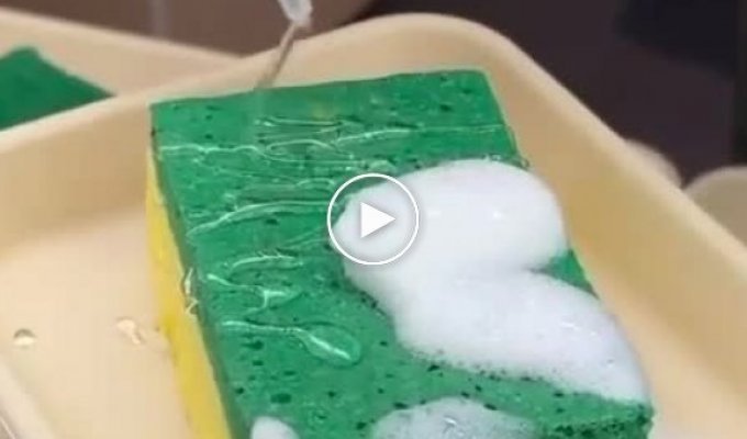 Dessert in the form of a dish sponge