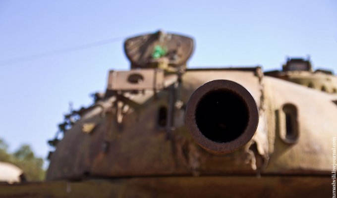 Кладбище танков в Эритрее (30 фото)