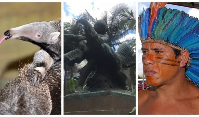 The statue "Indian and anteater" and its symbolism (6 photos)