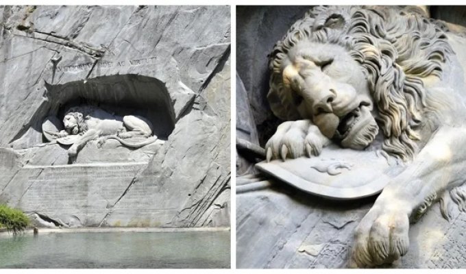 Люцернский лев: свинская шутка обманутого скульптора (9 фото)
