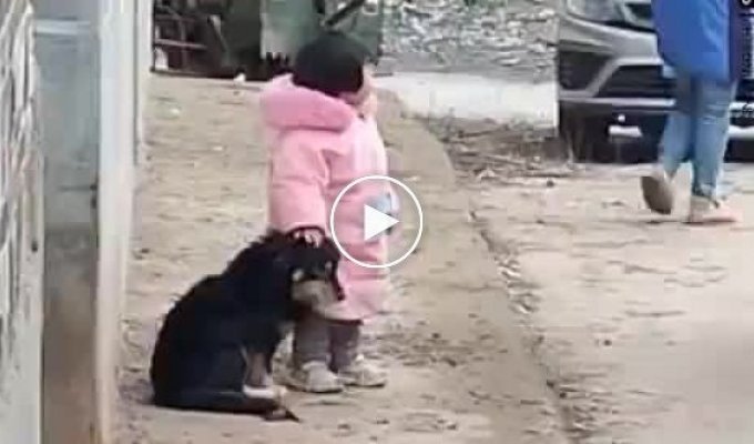 Маленькая девочка закрыла уши собаке, которую напугали фейерверки