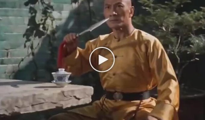 Old Chinese Kung Fu Movies, But with Cats