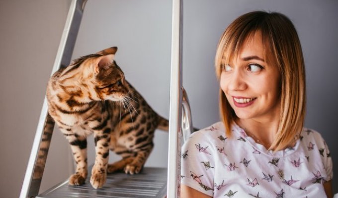Эволюционные истоки и метаболическая уникальность домашних кошек