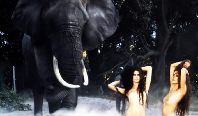 Календарь Pirelli 2009 - голые модели резвятся с дикими слонами