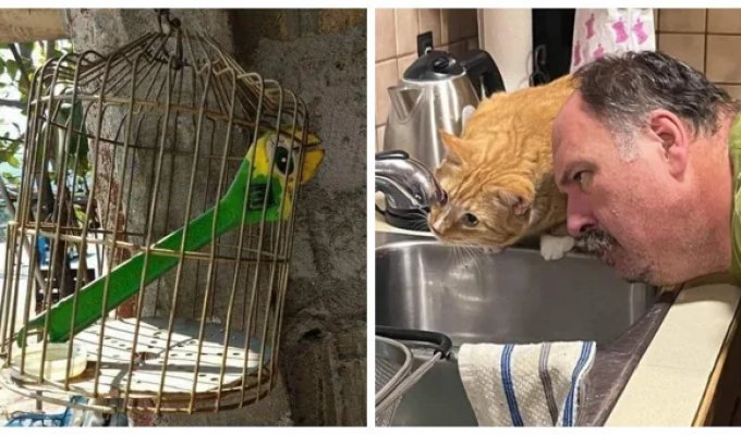 28 фотодоказательств того, что вселенная обладает превосходным чувством юмора (29 фото)