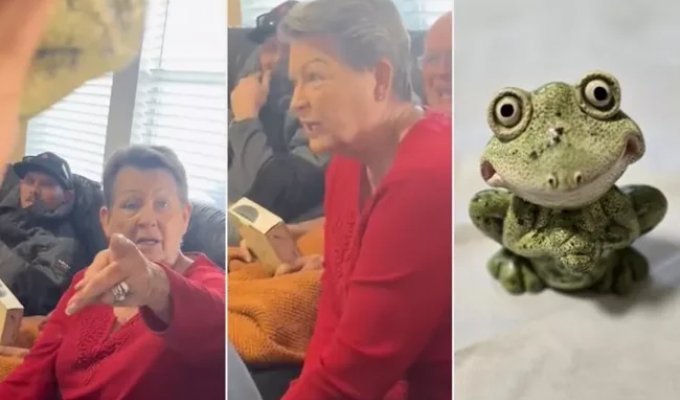 Grandchildren stole souvenirs from their grandmother's house to give her for Christmas (2 photos + 1 video)