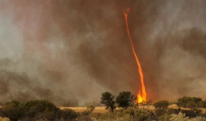 Frightening wonders of nature: What a fire tornado looks like (5 photos)