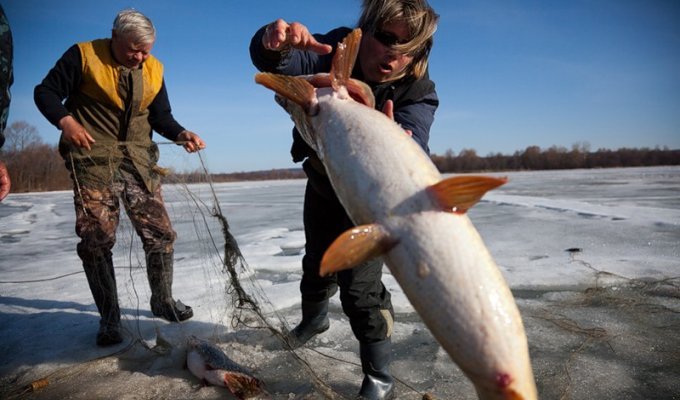 Как ловят рыбу зимой (20 фото)