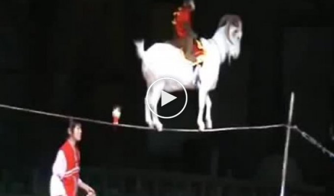 Выступление китайского цирка