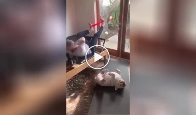 Dog decided to support his owner in sports, but quickly got out of action
