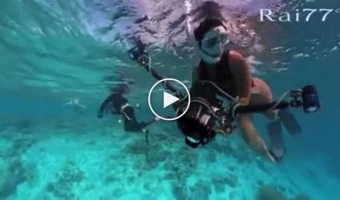 Нападение акул на девушку попало на видео