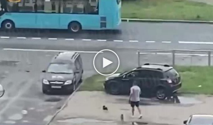 Где-то в России странная особь пытается задавить двух маленьких собачек и их хозяина