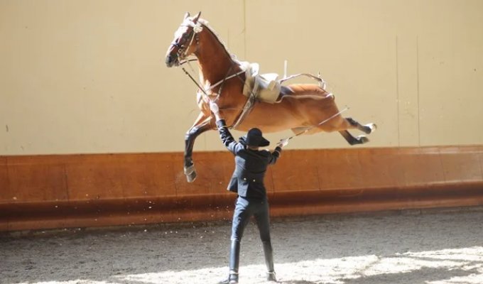 Worth a closer look: 17 funny photos from the "It Seemed Like It" series (17 photos)