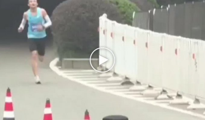 In China, a cat accidentally won a half marathon