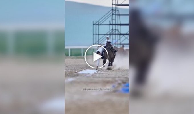 Подъем хадака на скаку — зрелищный элемент монгольской джигитовки