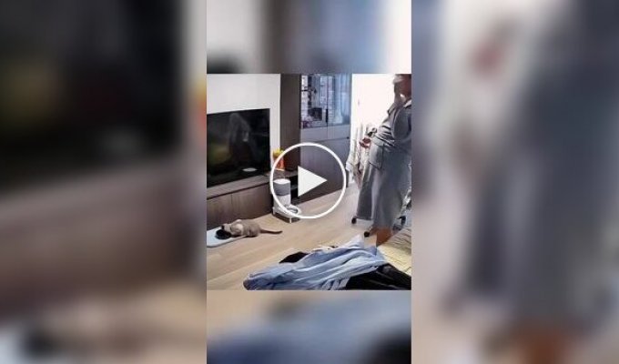 Не поворачивайтесь к коту спиной