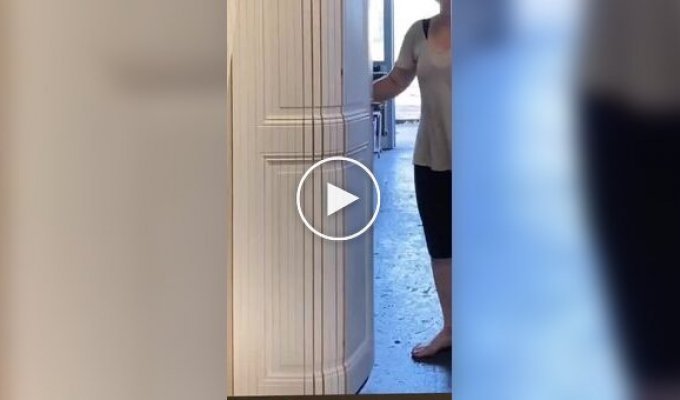 Необычные гибкие двери