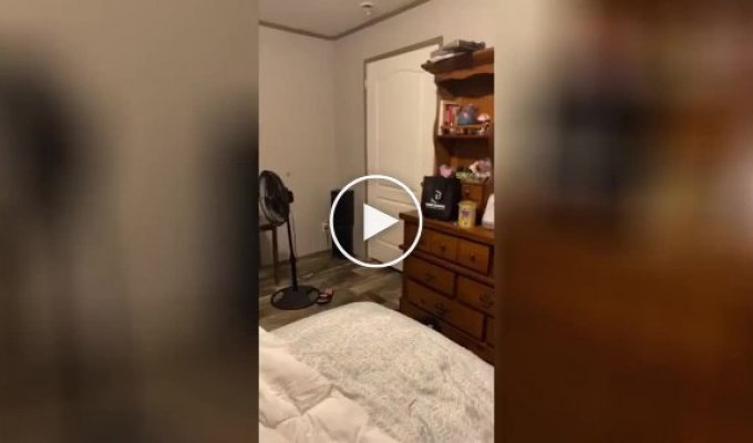 The cat effectively entered the owner's room